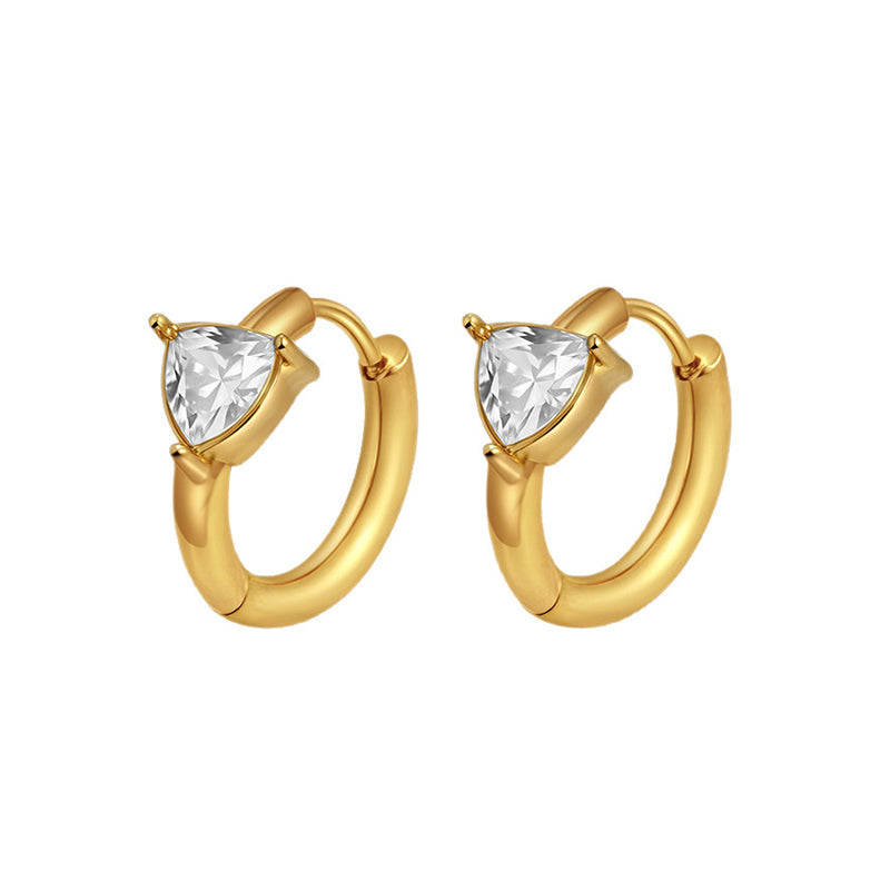 Stainless steel earrings