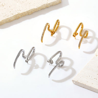 Stainless Steel Dangle Earrings