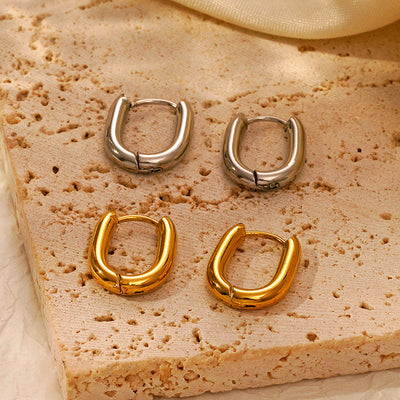 Stainless Steel Dangle Earrings