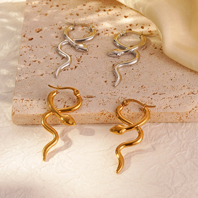 Stainless Steel Dangle Earrings