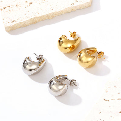 Stainless Steel Dangle Earrings